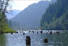 Red Lake (Lacul Roșu)